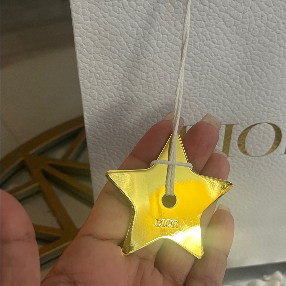 Dior Gift Bag - Picture 3 of 12